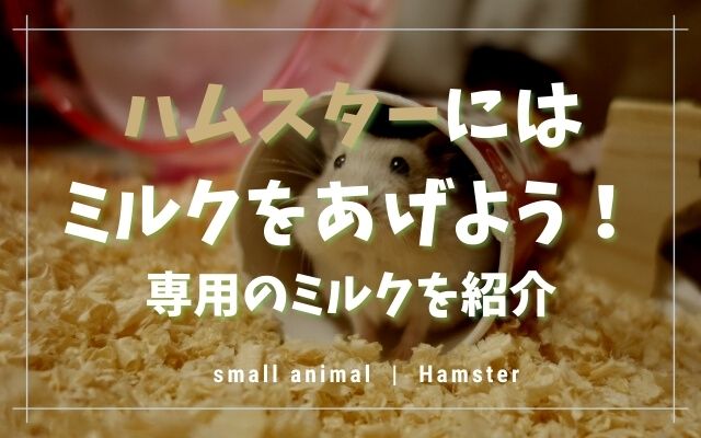 ハムスターへのミルクの与え方 おすすめや量 頻度 注意点を紹介 トントンニュース